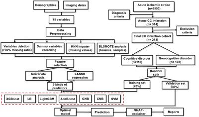 Prediction of subjective cognitive decline after corpus callosum infarction by an interpretable machine learning-derived early warning strategy